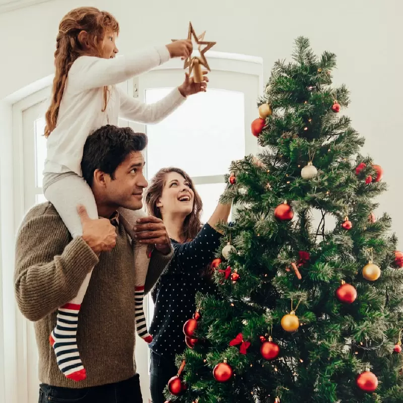 Cómo para elegir el árbol de navidad perfecto para tu hogar