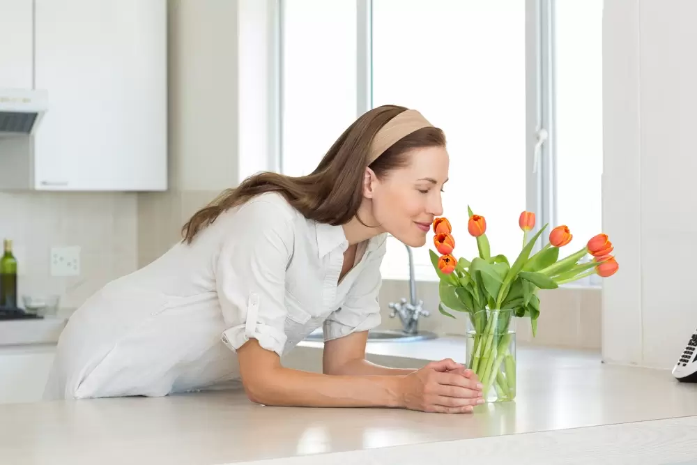 Trucos infalibles para eliminar olores en tu hogar