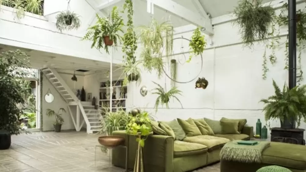 Proyectos de decoración con plantas colgantes: añade verdor y estilo a tus espacios
