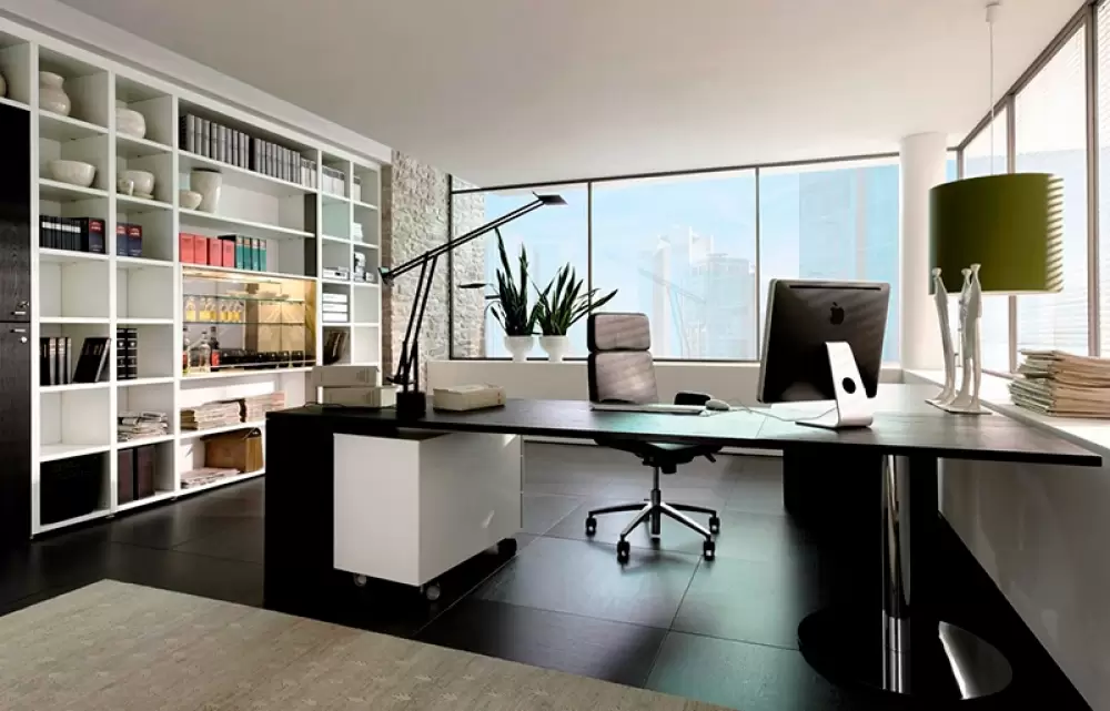 Las 5 mejores plantas de interior para purificar el aire en tu oficina